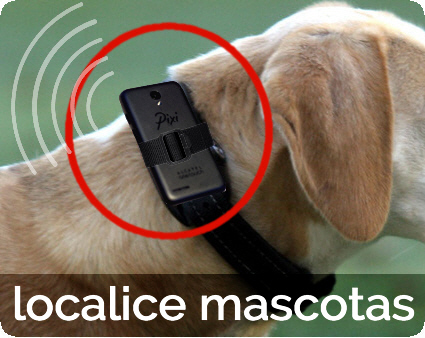 como localizar perros y mascotas por gps con telefonos android
